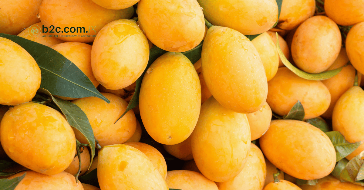 Why Pakistani Mangoes Are Famous Around the World